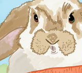 Bunny-Carrot-Zoom
