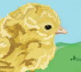Chick-Zoom