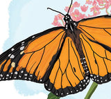 Monarch-Card-Zoom