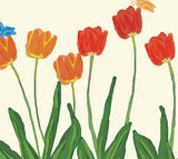 Spring-Tulip-Zoom