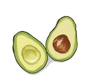 Avocado