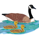 Canadian Goose Card Zoom