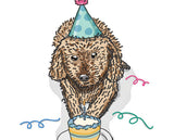 Dog & Birthday Cake