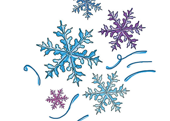 Sparkling Snowflakes