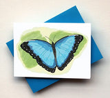 Blue Butterfly