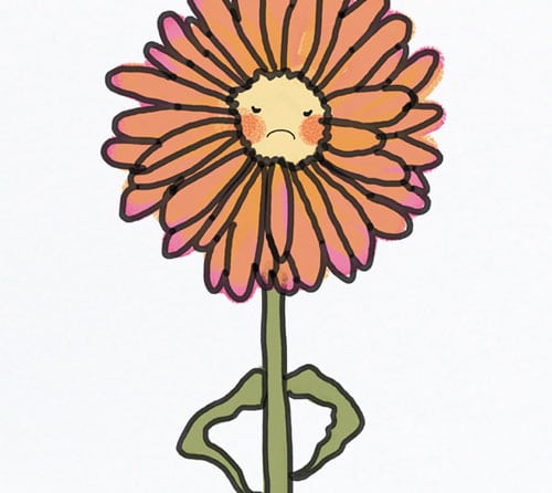 Sorry Your Job Sucks