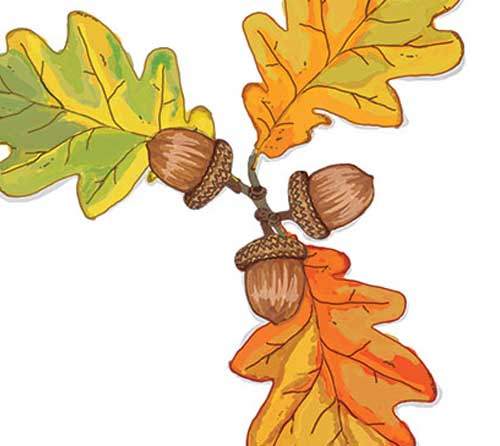 Leaves-Acorns-Zoom