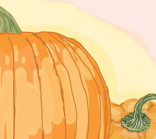Pumpkin-Zoom