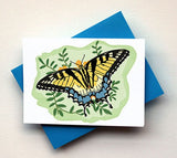 Swallowtail Butterfly