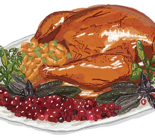 Thanksgiving Turkey Card