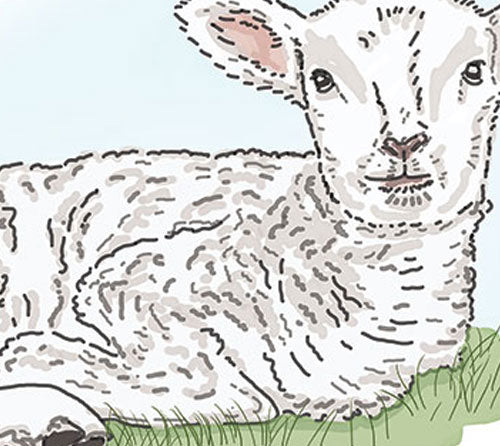 Lamb Card